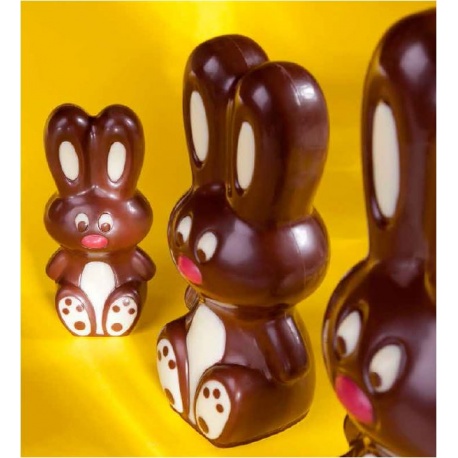 bunny mold for chocolate