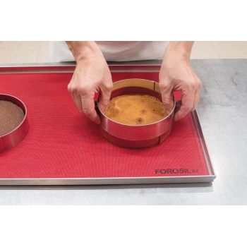 Silpat entremet shop silicone baking pan