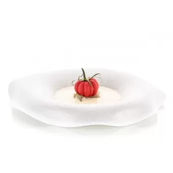 Silikomart Professional Naturae Pomodoro 24 Tomatoes Mold - Inspiration by Chef Andrea Valentinetti