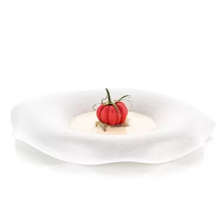 Silikomart Professional Naturae Pomodoro 24 Tomatoes Mold - Inspiration by Chef Andrea Valentinetti