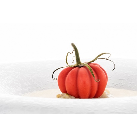 https://www.pastrychefsboutique.com/22781-large_default/silikomart-36330360065-silikomart-professional-pomodoro-24-tomatoes-mold-inspiration-by-chef-andrea-valentinetti-decoration-sili.jpg