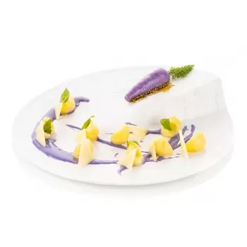 Silikomart Professional Naturae Carota 20 Carrots Mold - Plate signed by Michelin Starred chef Viviana Varese