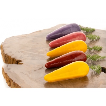 https://www.pastrychefsboutique.com/22790-home_default/silikomart-36328360065-silikomart-professional-carota-20-carrots-mold-plate-signed-by-michelin-starred-chef-viviana-varese-decor.jpg