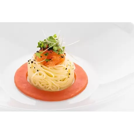 Silikomart Professional Naturae Cerchio 3.0 Circles Mold - Inspiration by Chef Andrea Valentinetti