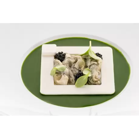 Silikomart Professional Naturae Quadrato 3.0 Square Mold - Inspiration by Chef Andrea Valentinetti