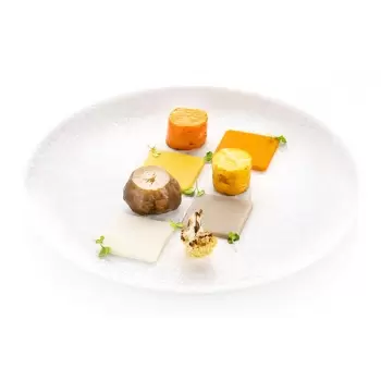 Silikomart Professional Naturae Quadrato 4.0 Square Mold - Inspiration by Chef Andrea Valentinetti