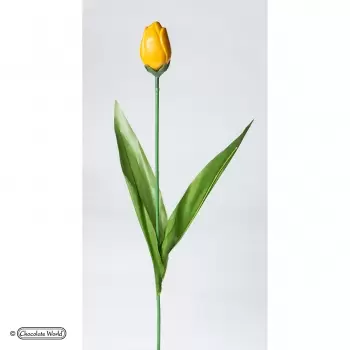 Chocolate World VV0103 Tulip Stalks - Artificial Stems for Chocolate Tulips - 50 pcs Valentine's Molds