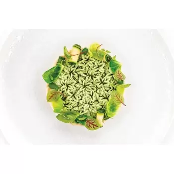 Silikomart Professional Naturae Erbetta43 Mold - Inspiration by Chef Andrea Valentinetti