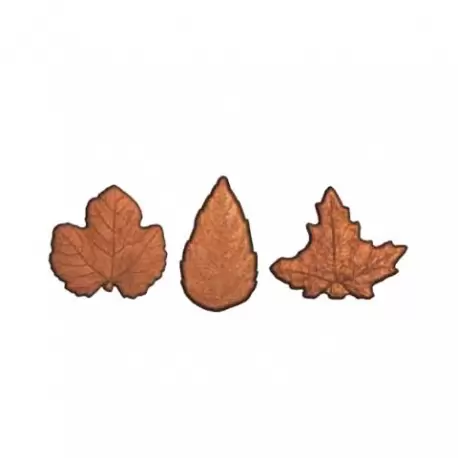 Polycarbonate 3 Autumn Fall Leaf Chocolate Mold - 3 x 6 cavity - 5gr