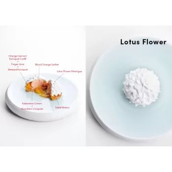 Lee Eunji PDESSERTS Plating Dessert by Lee Eunji - Hardcover - English & Korean Language Pastry and Dessert Books