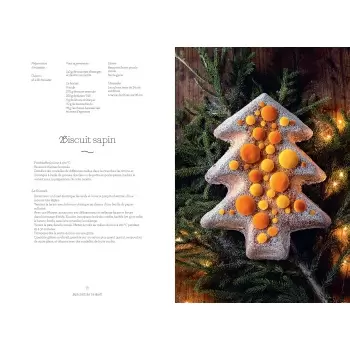 EXNOEL L'Extraordinaire Noël des pâtissiers: 90 recettes de fête - Hardcover - French Language Pastry and Dessert Books