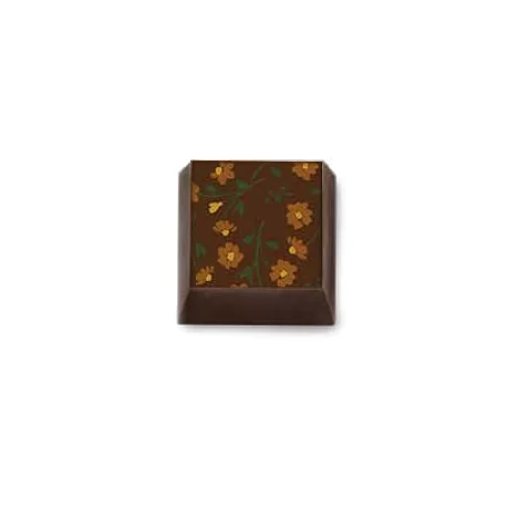 Barry Callebaut F031815 Painted Flowers 3 Chocolate Transfer Sheets - 300 mm x 400 mm - 10 sheets Chocolate Transfer Sheets