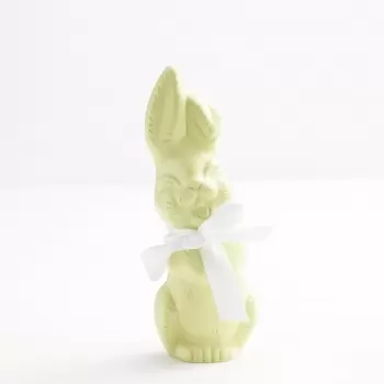 Polycarbonate Chocolate Easter Bunny Rabbit Mold - Medium Size - 156 x 56 mm - 2 x 2 cavity - 275x175 mm