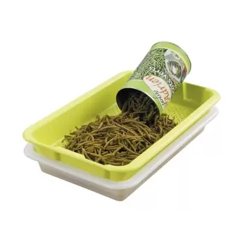 Green Draining Drip Tray - 10 L Capacity - 600 mm x 400 mm x h 80 mm