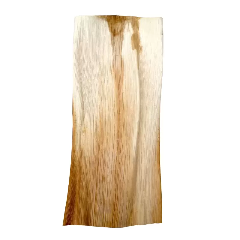 PacknWood Palm Leaf - L:21.7'' W:12.6'' - 50 pcs