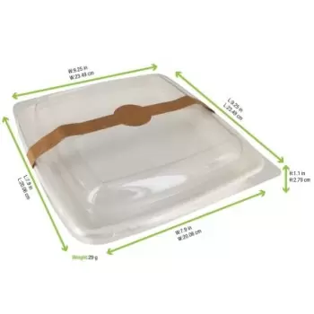 PacknWood Square White Sugarcane Plate - 34oz 9.25 x 9.25 x 1.1'' - 200 pcs