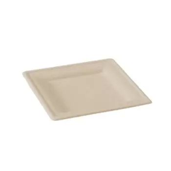 PacknWood 210Apu2020Abr - Square Brown Sugarcane Plate - 7.8x7.8''/ 200x200mm - 500 pcs