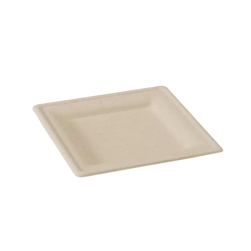 PacknWood 210Apu2020Abr - Square Brown Sugarcane Plate - 7.8x7.8''/ 200x200mm - 500 pcs