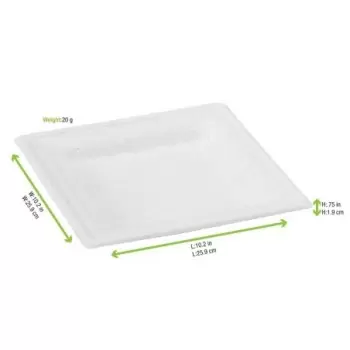 PacknWood Square White Sugarcane Plate - 10.2 x 10.2'' - 250 pcs