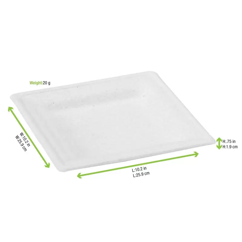 PacknWood Square White Sugarcane Plate - 10.2 x 10.2'' - 250 pcs