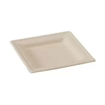 PacknWood Square Brown Sugarcane Plate - 10.2 x 10.2'' - 250 pcs