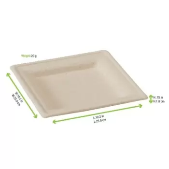 PacknWood 210Apu2626Abr - Brown Square Sugarcane Plate - 10.1x10.1/260x260mm - 250 pcs