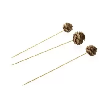 PacknWood Pine Cone Skewer - 4'' - 1000 pcs