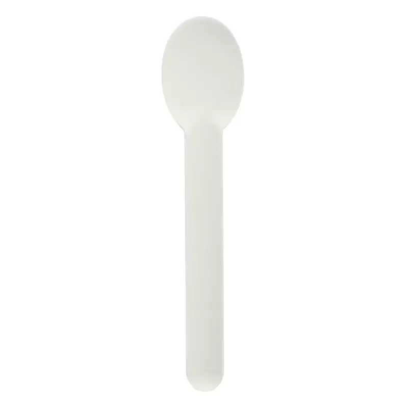 PacknWood Sugarcane Spoon - 5.6'' - 1000 pcs