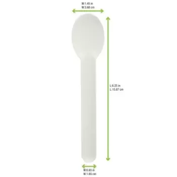 PacknWood Sugarcane Spoon - 5.6'' - 1000 pcs