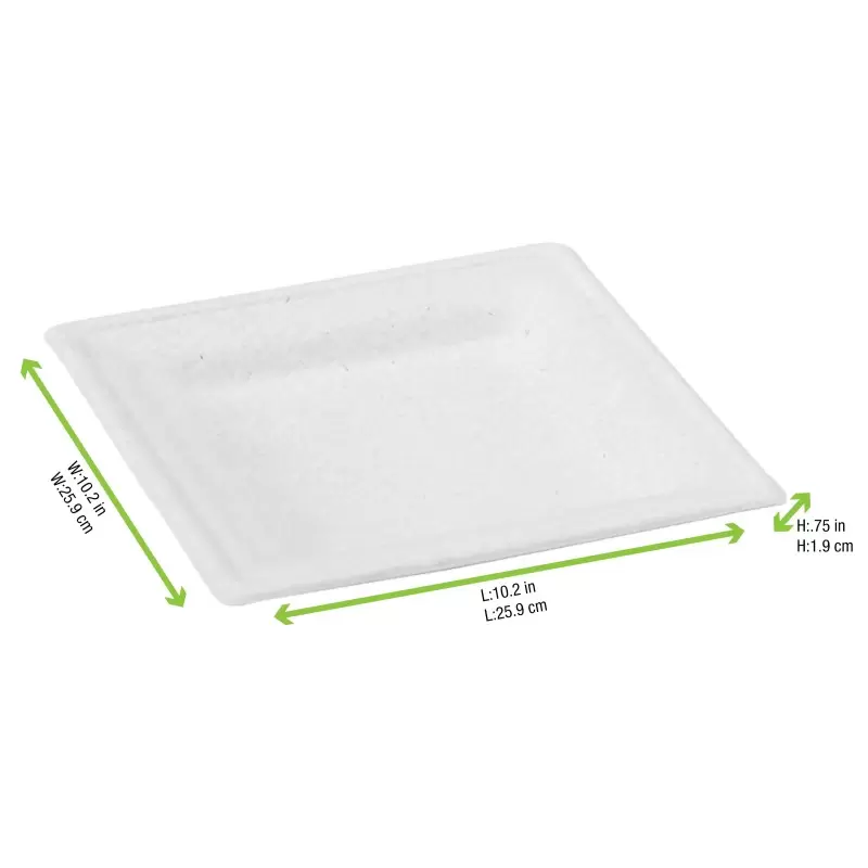 PacknWood Square White Sugarcane Plate - 10.2'' - 288 pcs