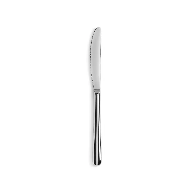 Revol Courchevel Collection Dessert Knife - Mirrored 18/10 stainless steel - Set of 12 pcs