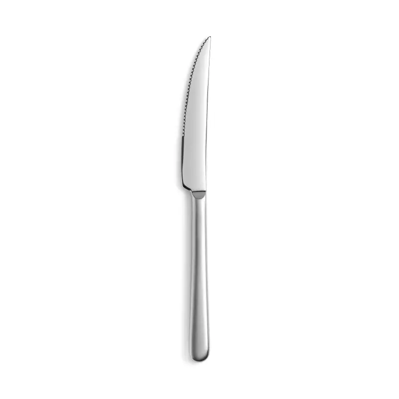 Revol Courchevel Collection Steak Knife - 18/10 satin stainless steel - Set of 12 pcs