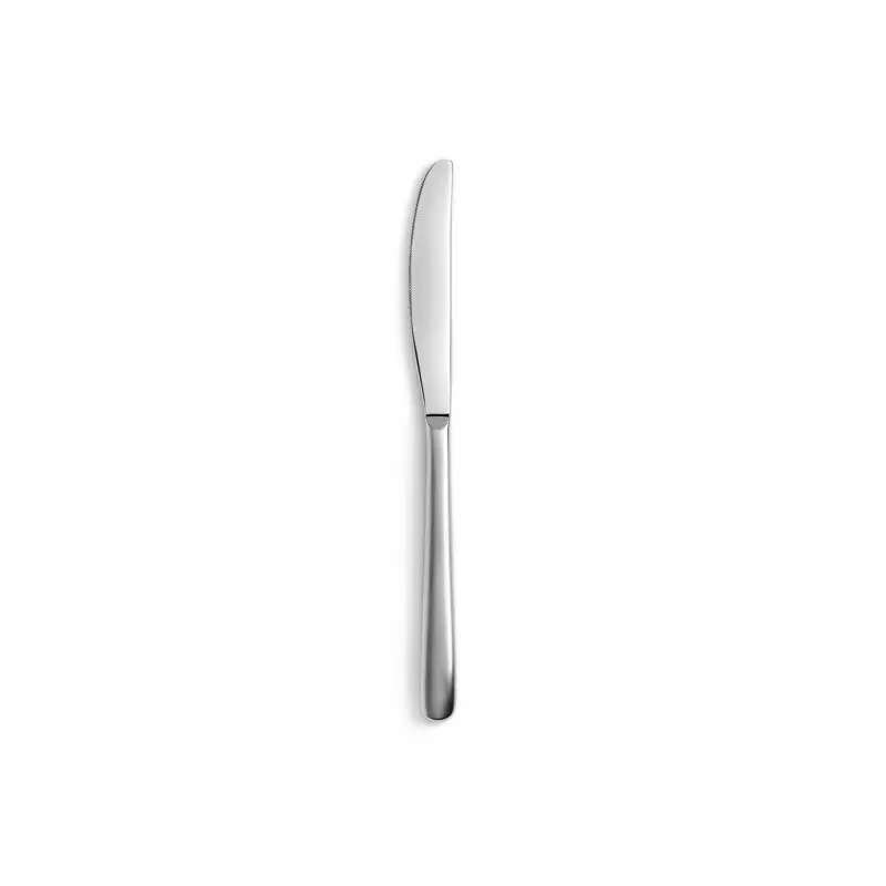 Revol Courchevel Collection Dessert Knife - 18/10 satin stainless steel - Set of 12 pcs