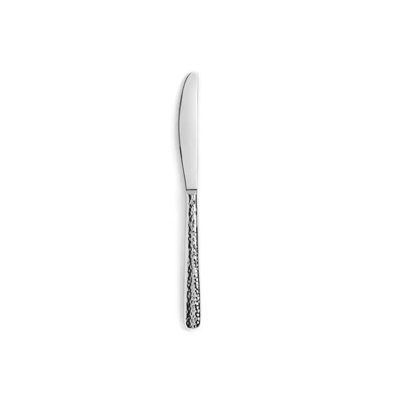 Revol Courchevel Collection Dessert Knife - 18/10 hammered stainless steel - Set of 12 pcs