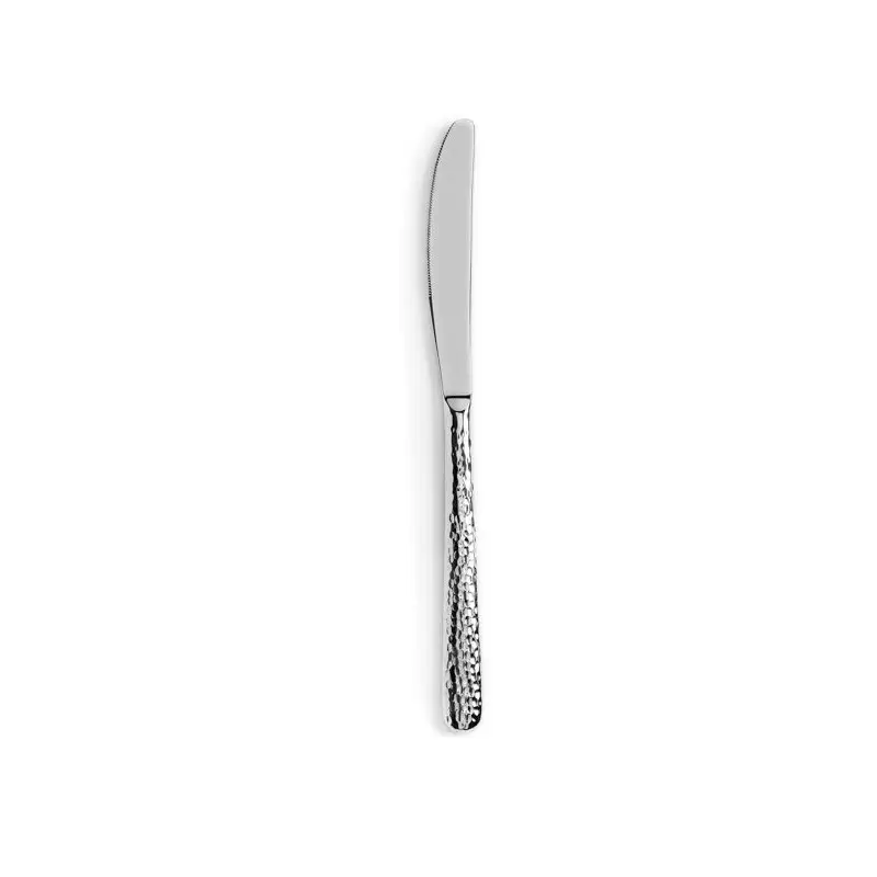 Revol Courchevel Collection Table Knife - 18/10 hammered stainless steel - Set of 12 pcs