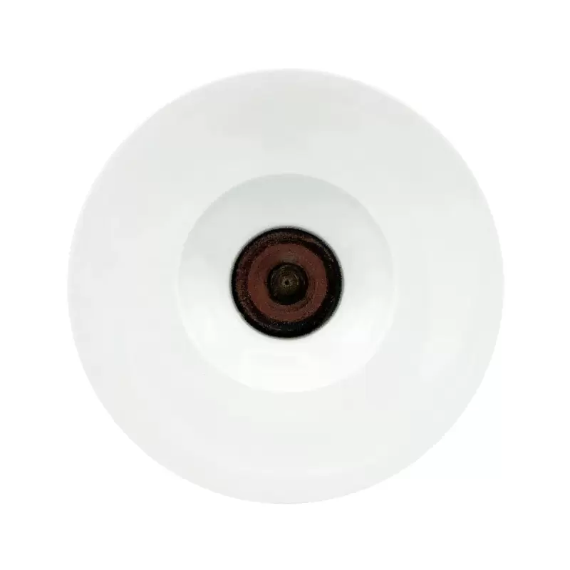 Jaune de Chrome Tellure White Rim Soup Plate 27 cm