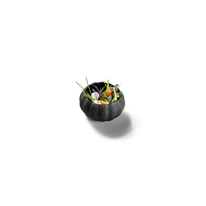 Pordamsa Sea Urchin Mat 12 cm Black