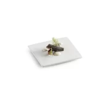 Pordamsa Canvas Sq Plate...