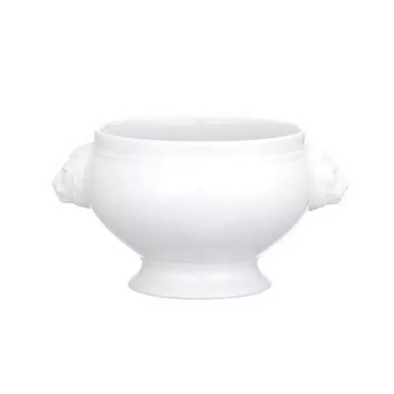 Villeroy & Boch Universal Collection Fine Porcelain Bowl Lion - - 6 pcs set.