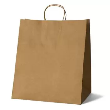 Kraft Elegant Paper Shopper Bags - Large - 14'' x 10'' x 16'' - Pack of 250