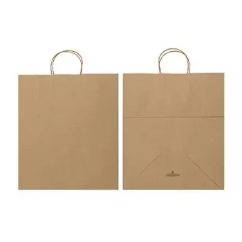 Kraft Elegant Paper Shopper Bags - Large - 14'' x 10'' x 16'' - Pack of 250