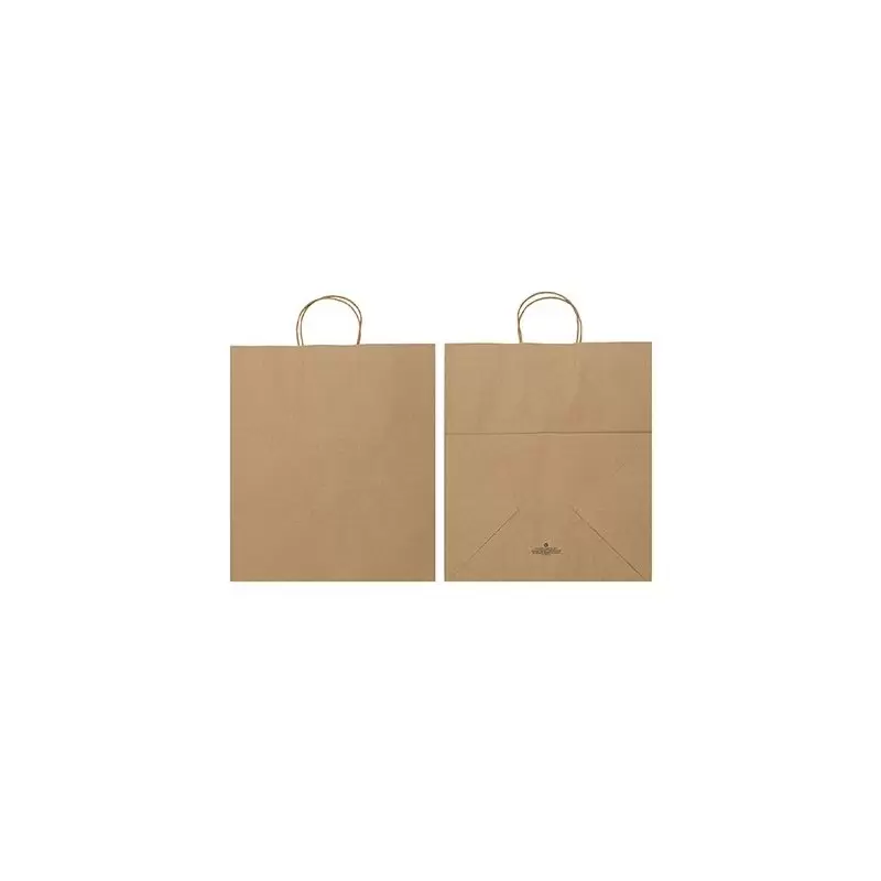 Kraft Elegant Paper Shopper Bags - Large - 14'' x 10'' x 16'' - Pack of 250