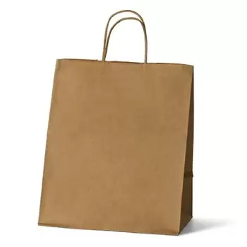 Kraft Elegant Paper Shopper Bags - Medium - 10'' x 6.75'' x 12'' - Pack of 250