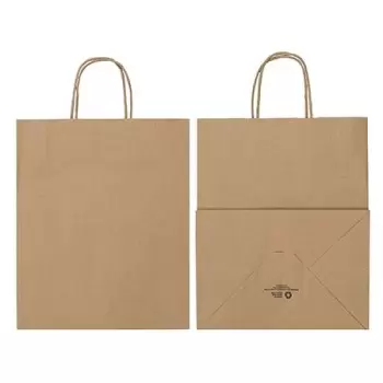 Kraft Elegant Paper Shopper Bags - Medium - 10'' x 6.75'' x 12'' - Pack of 250