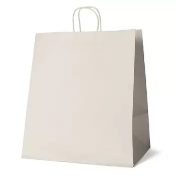 White Elegant Paper Shopper Bags - Small - 7.75'' x 4.75'' x 9.75'' - Pack of 250