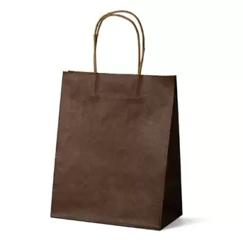 Brown Elegant Paper Shopper Bags - Small - 7.75'' x 4.75'' x 9.75'' - Pack of 250