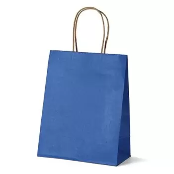 Royal Blue Elegant Paper Shopper Bags - Small - 7.75'' x 4.75'' x 9.75'' - Pack of 250