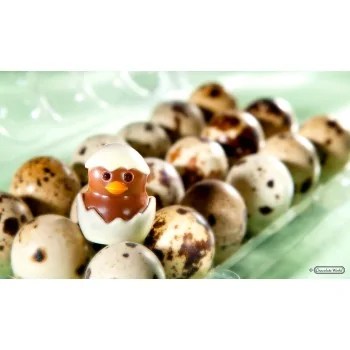 Polycarbonate Hatching Chick Chocolate Mold - 33 mm x 26.5 mm x 13 mm - 13 gr - 24 Cavity