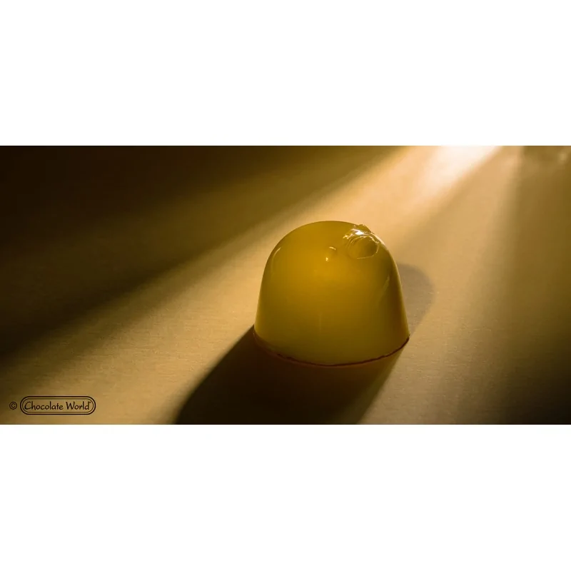 Polycarbonate Abstract Chick Chocolate Bonbon Mold by Nora Chokladskola - 30 mm x 30 mm x 21 mm - 13 gr - 21 Cavity