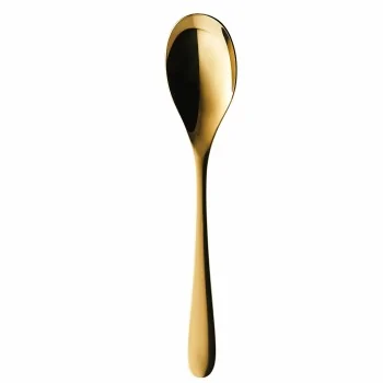 Degrenne Onde Gold Pvd Stainless Steel Serving Spoon 266 mm - 10 ''1/2 - Pack of 1